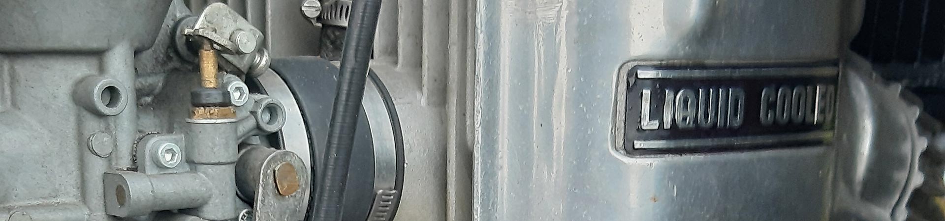 Kradblatt &#8211; Staging