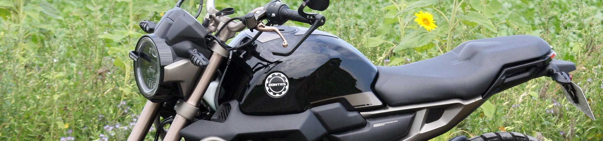 Kradblatt – Staging