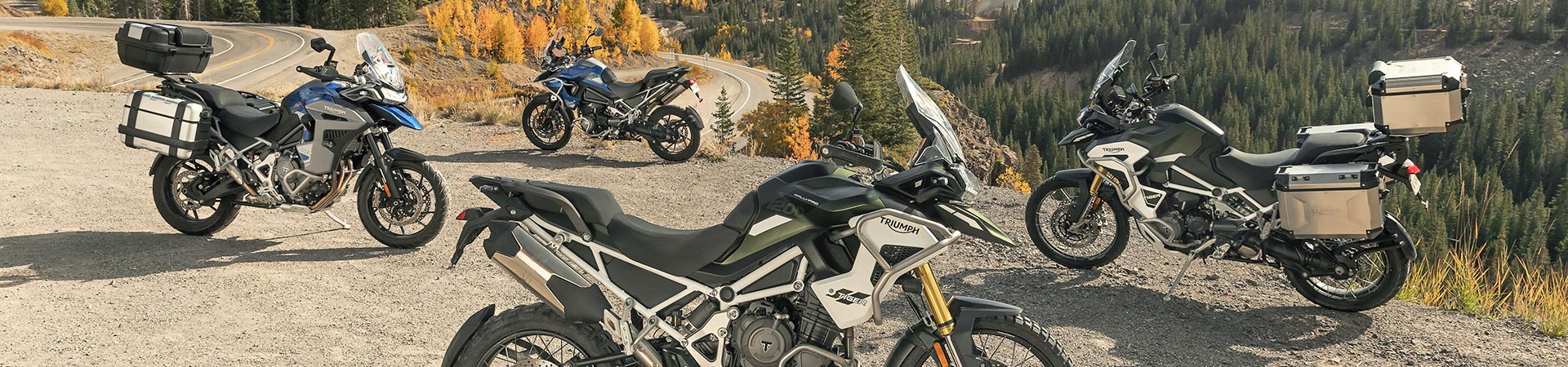 Kradblatt &#8211; Staging