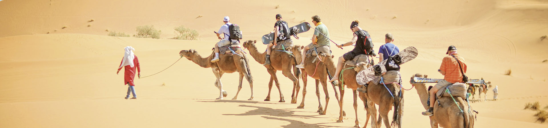 Kradblatt – Staging