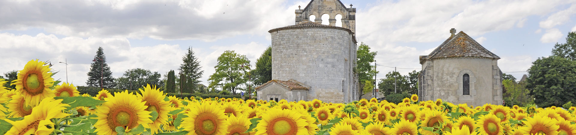 Kradblatt – Staging