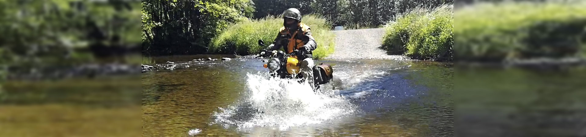 Kradblatt – Staging