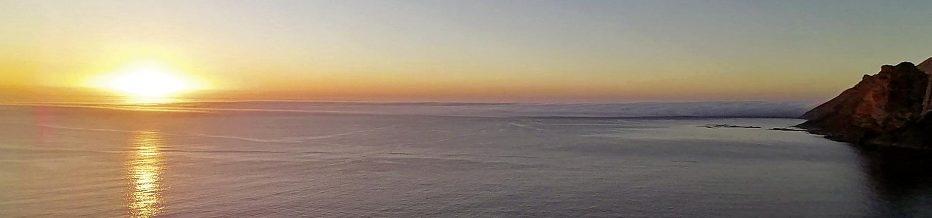 Kradblatt – Staging