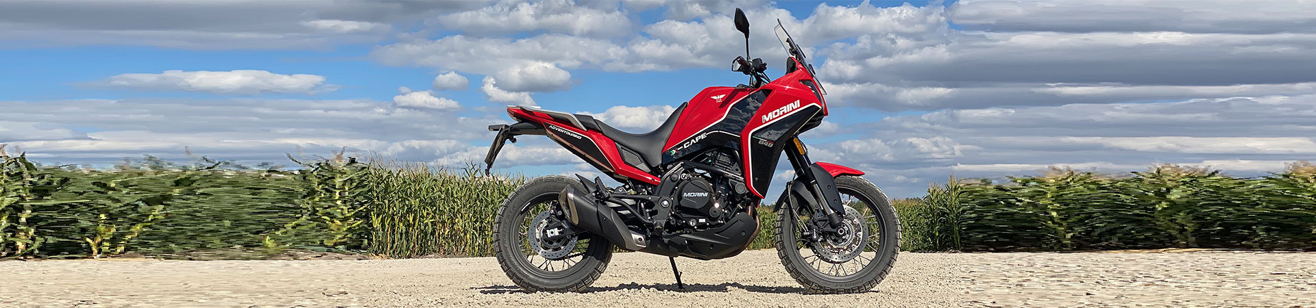 Kradblatt &#8211; Staging