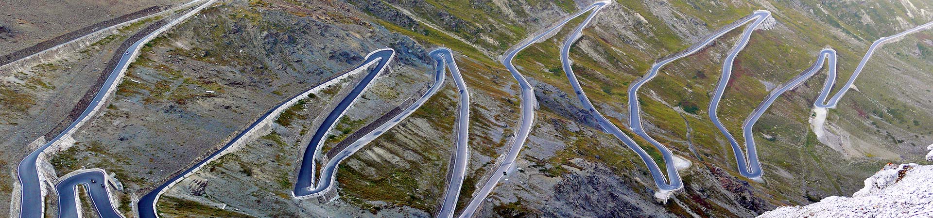 Kradblatt – Staging