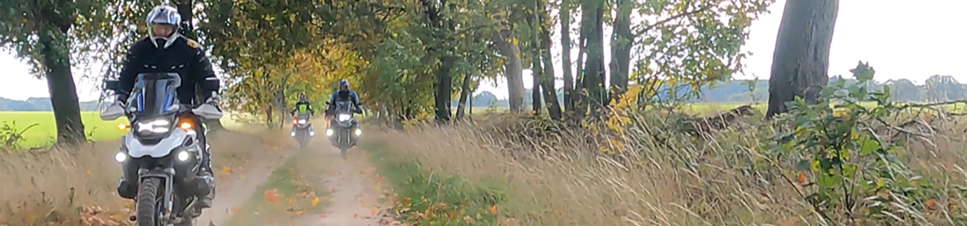 Kradblatt &#8211; Staging