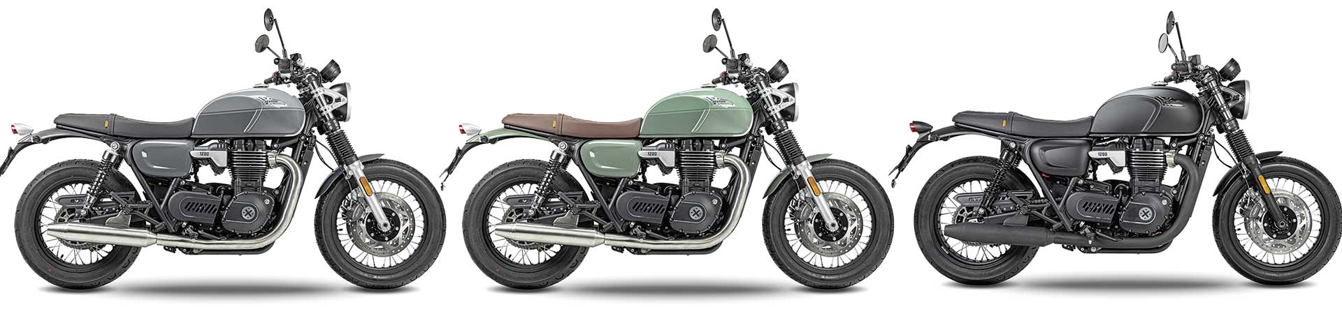 Kradblatt &#8211; Staging