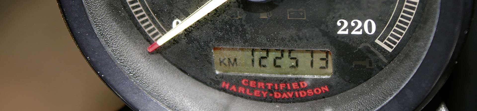 Kradblatt – Staging