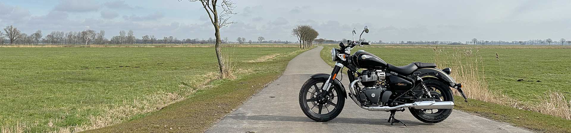 Kradblatt – Staging