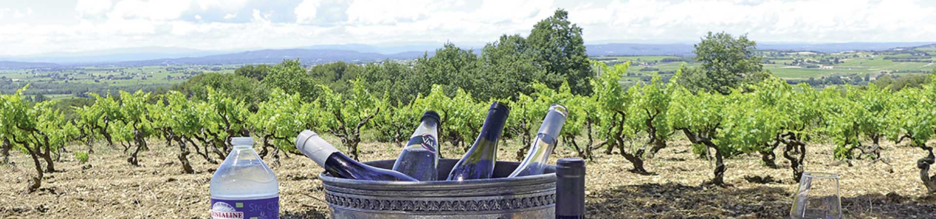 Kradblatt – Staging