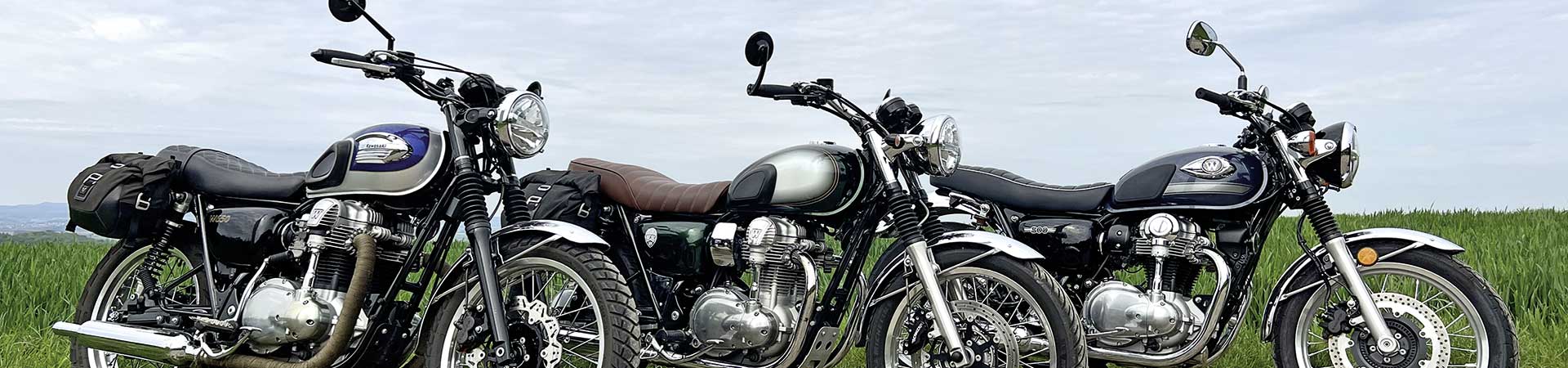 Kradblatt &#8211; Staging