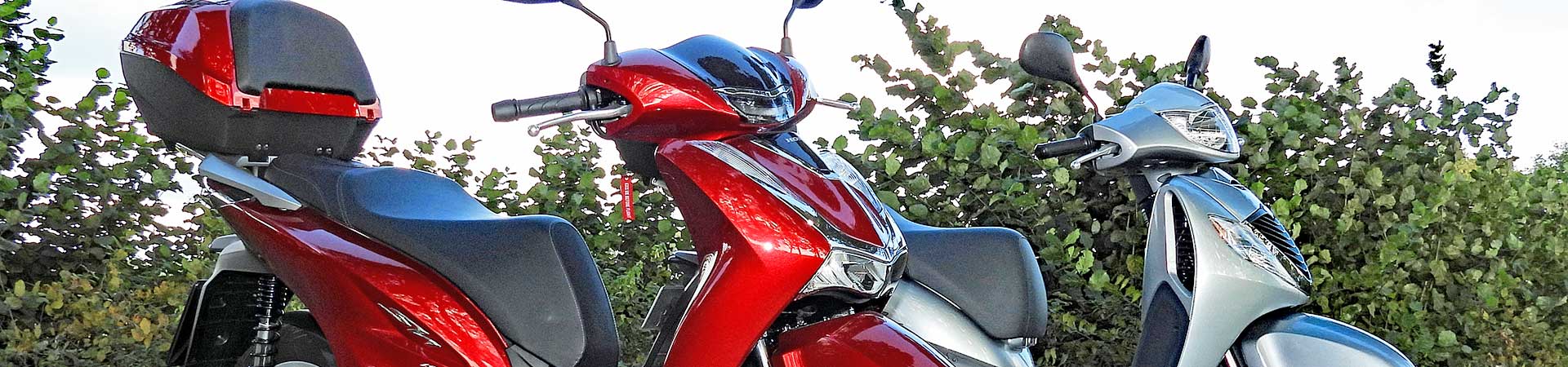 Kradblatt – Staging