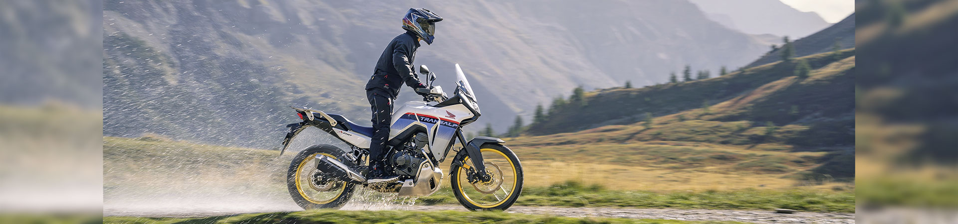 Kradblatt &#8211; Staging