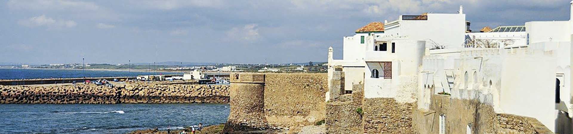 Kradblatt &#8211; Staging