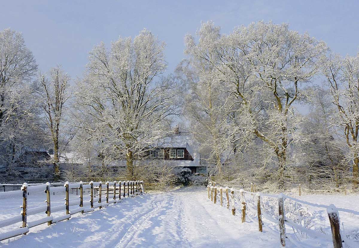 Kradblatt &#8211; Staging