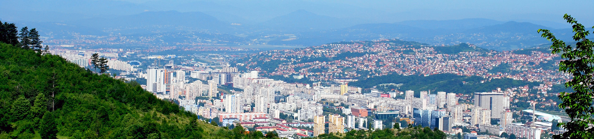 Kradblatt – Staging