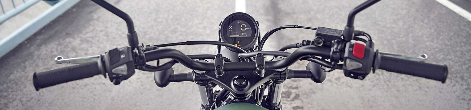 Kradblatt &#8211; Staging