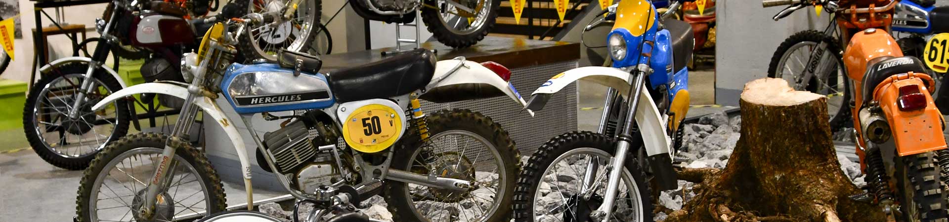 Kradblatt &#8211; Staging