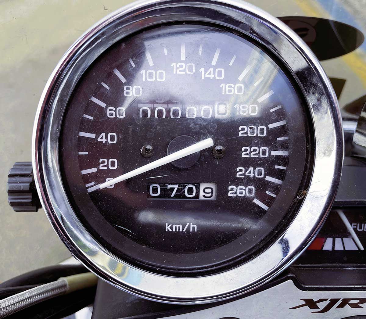 Kradblatt &#8211; Staging