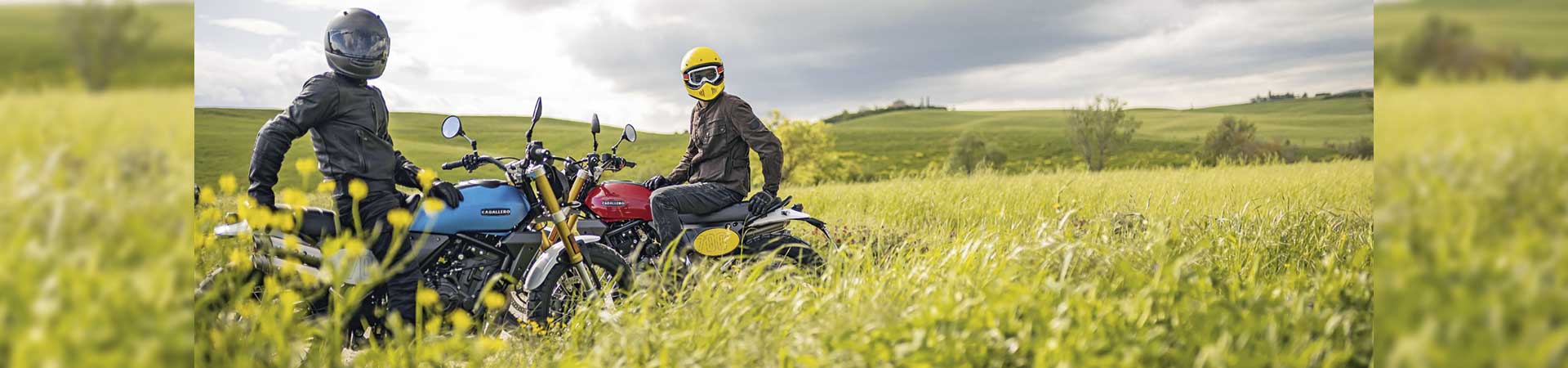 Kradblatt &#8211; Staging