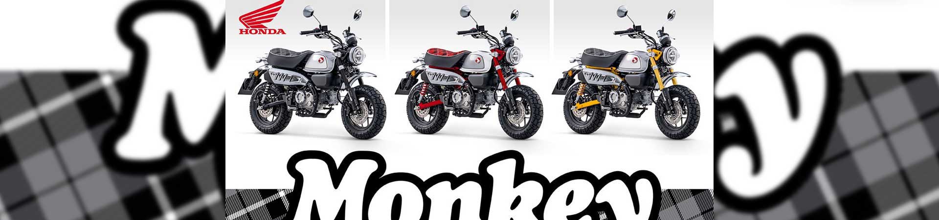 Kradblatt &#8211; Staging