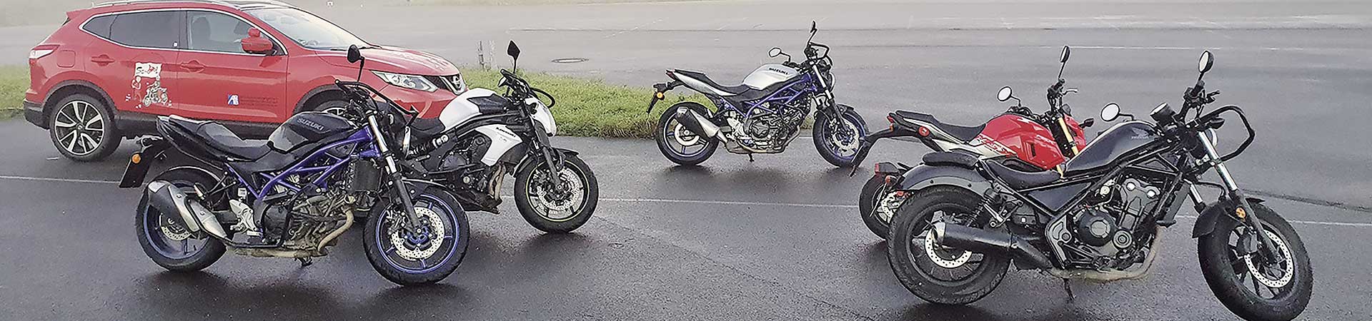 Kradblatt &#8211; Staging