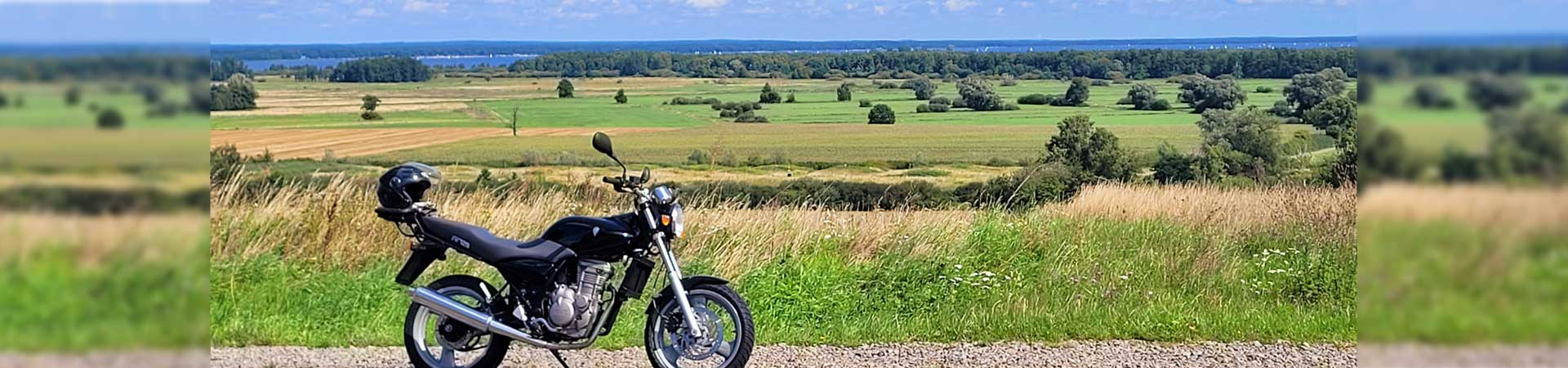 Kradblatt &#8211; Staging