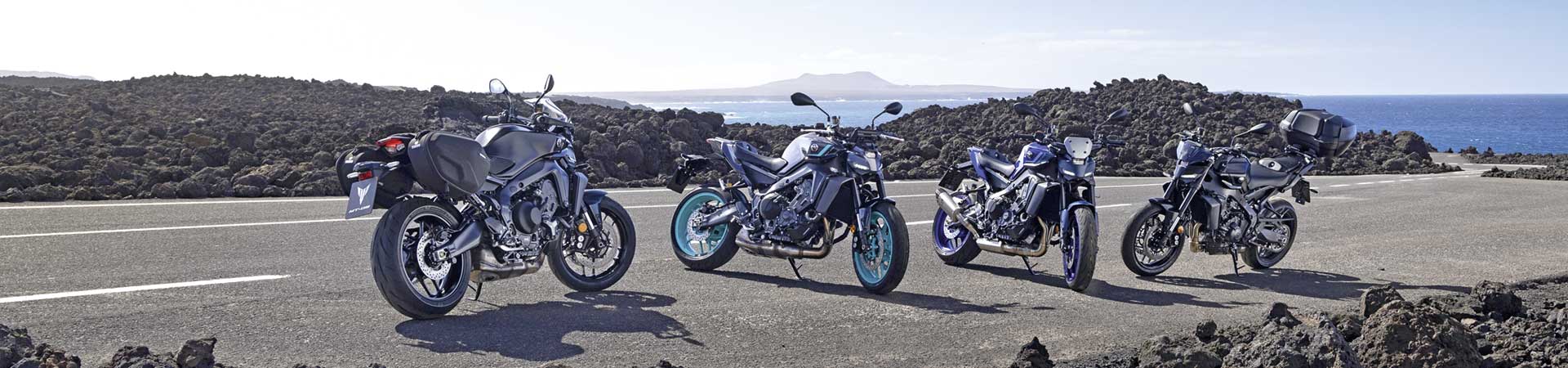 Kradblatt &#8211; Staging