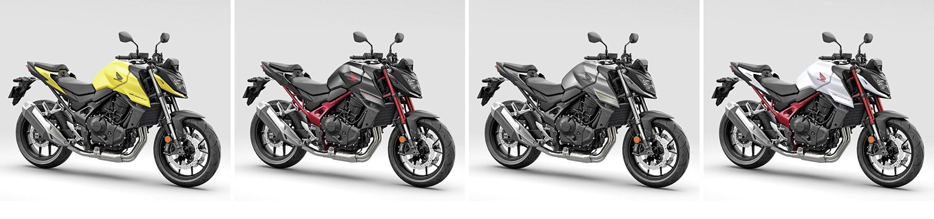 Kradblatt &#8211; Staging