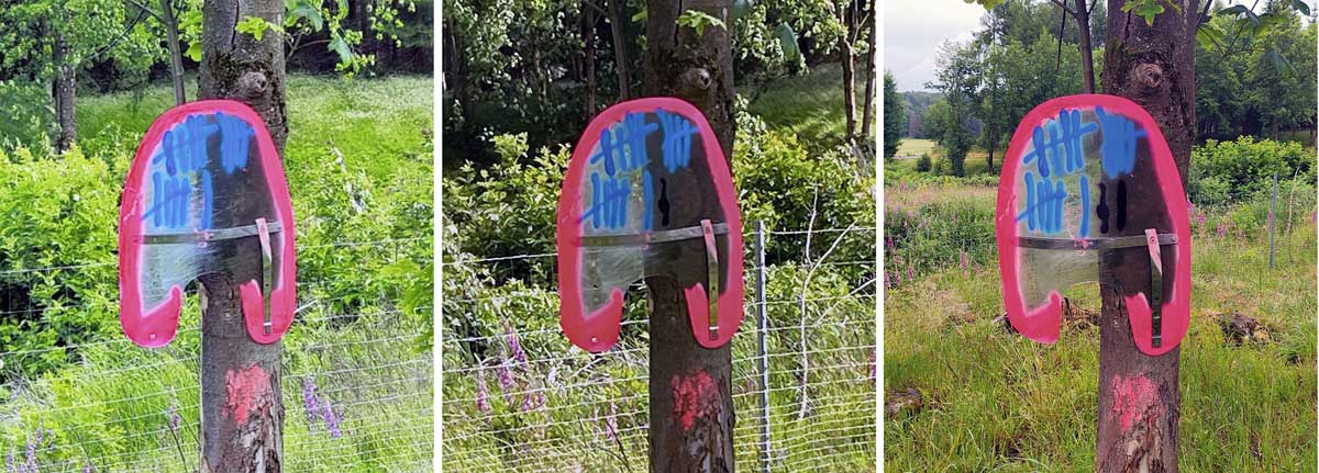 Kradblatt &#8211; Staging