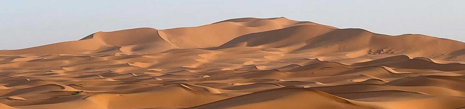 Kradblatt &#8211; Staging