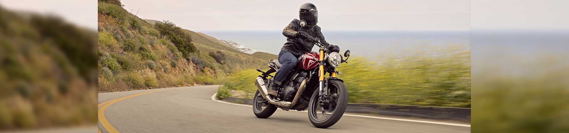 Kradblatt &#8211; Staging