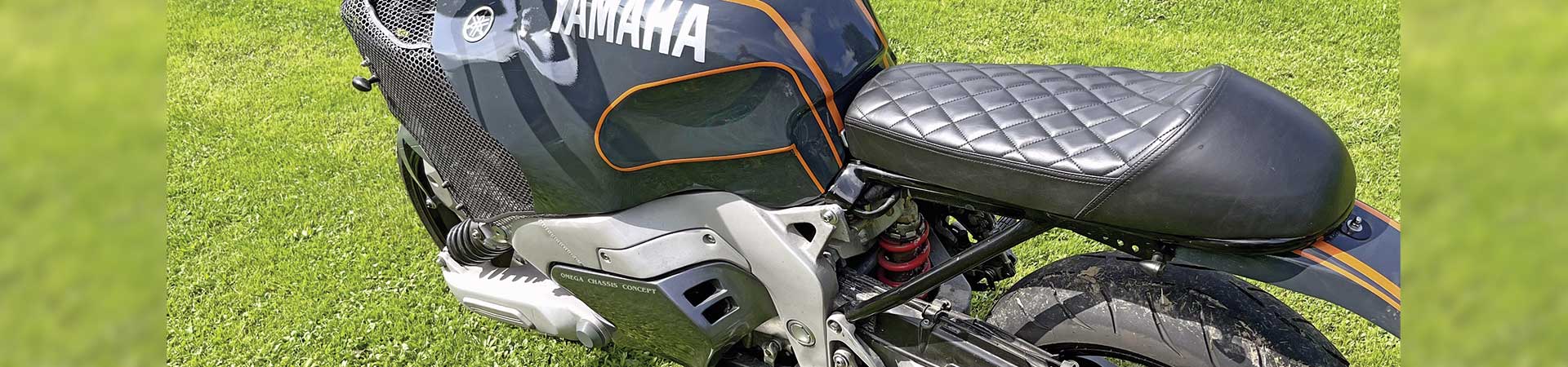 Kradblatt &#8211; Staging