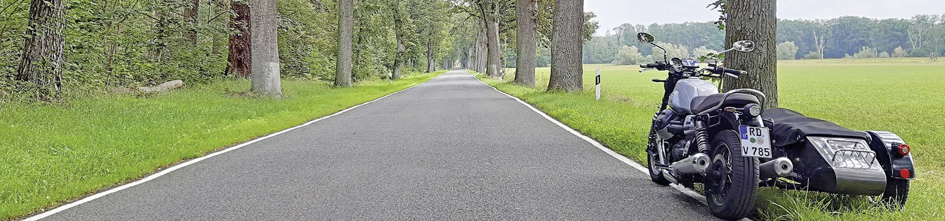 Kradblatt &#8211; Staging