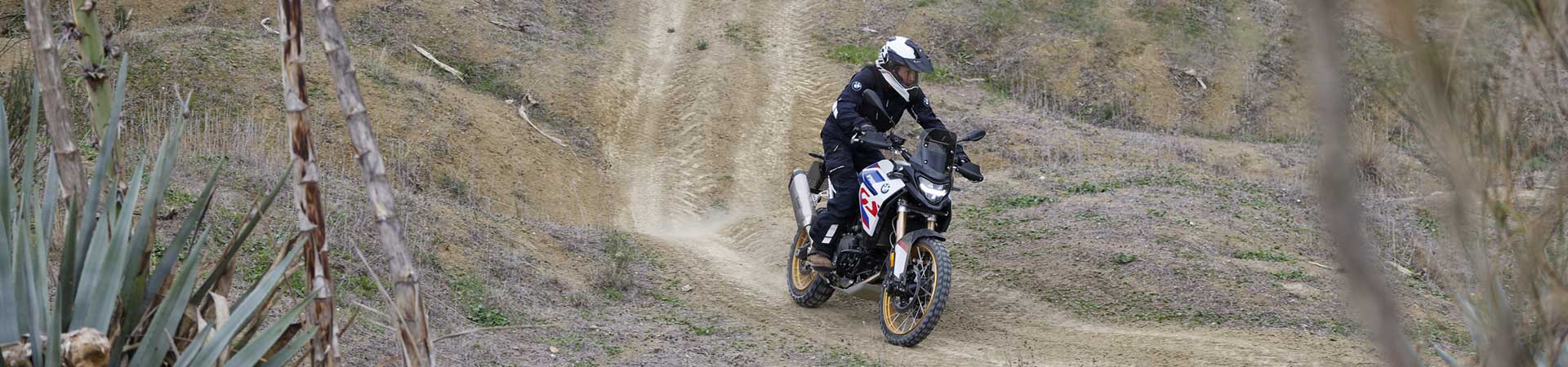 Kradblatt &#8211; Staging