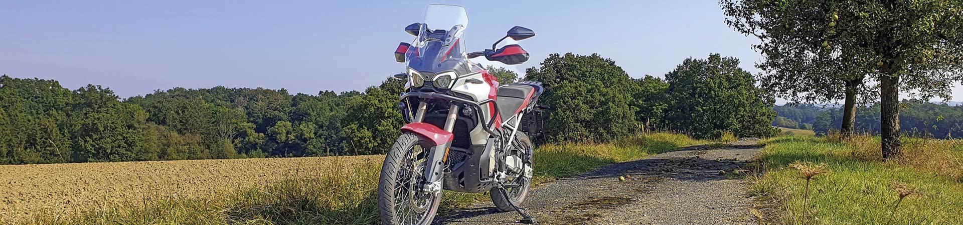 Kradblatt &#8211; Staging