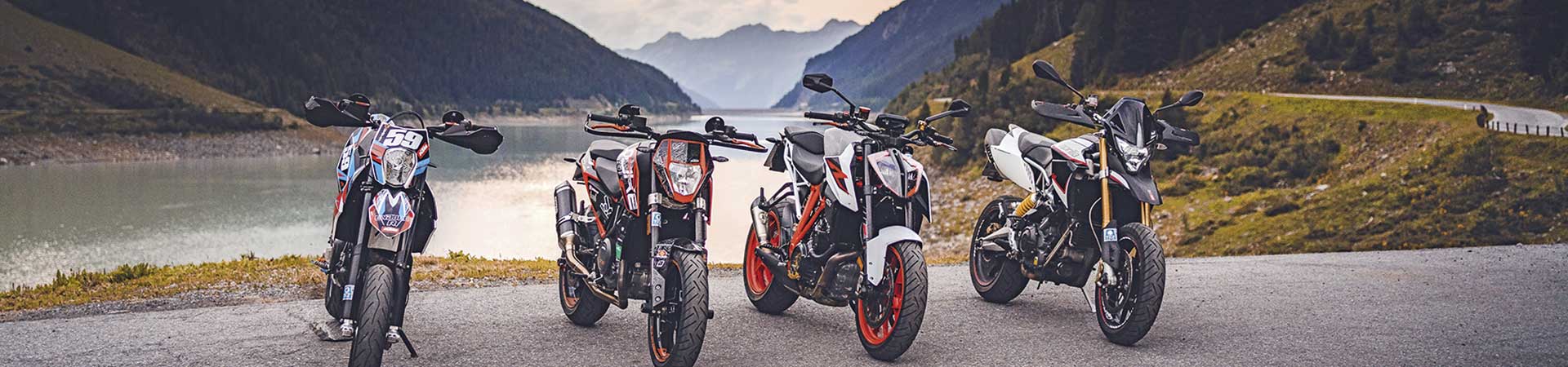 Kradblatt &#8211; Staging