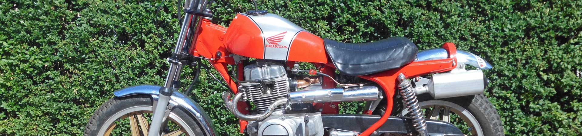 Kradblatt &#8211; Staging