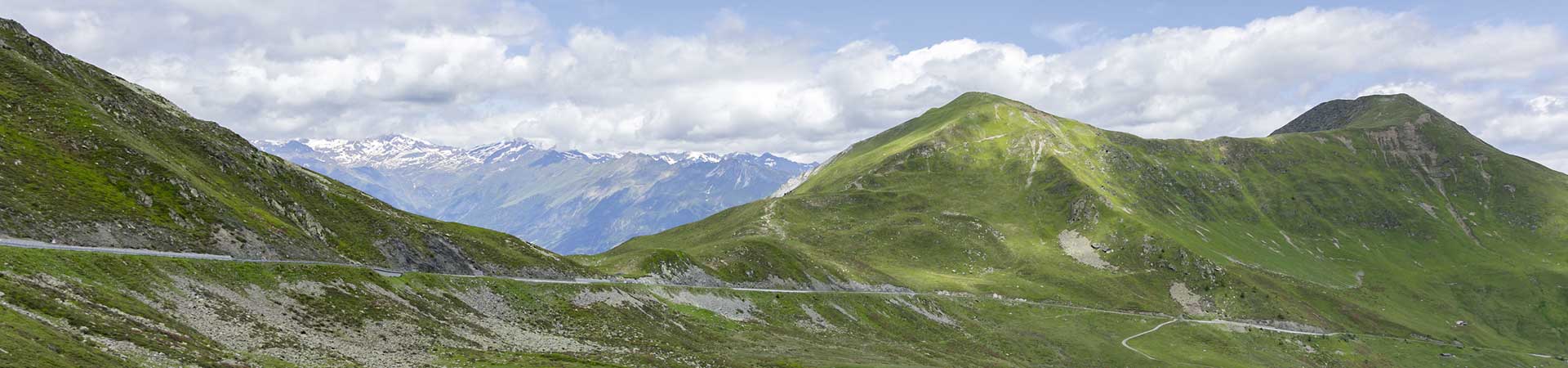 Kradblatt &#8211; Staging